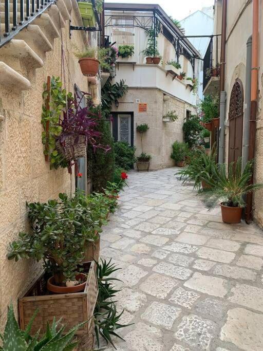 Casa Vacanza Raggio Di Sole Giovinazzo Exteriör bild